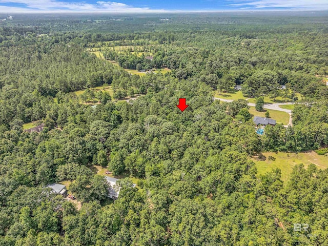 3ACRES County Road 39, Stapleton, AL 36578