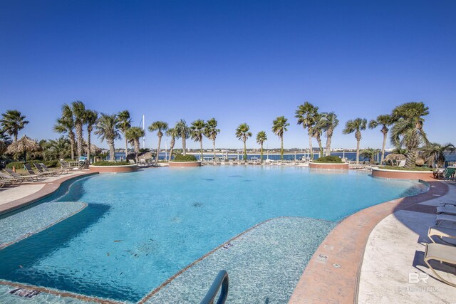 28105 Perdido Beach Blvd Unit C-314, Orange Beach, AL 36561 - view of community pool