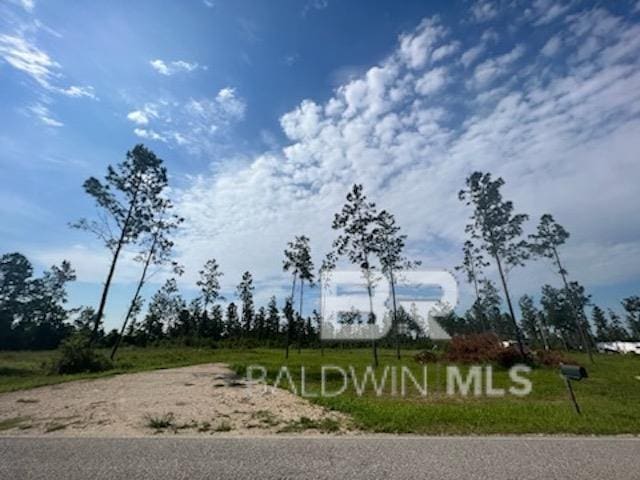 24712 Linholm Rd, Robertsdale AL, 36567 land for sale