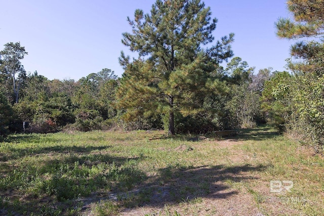 0 Nolte Creek Dr, Foley AL, 35635 land for sale