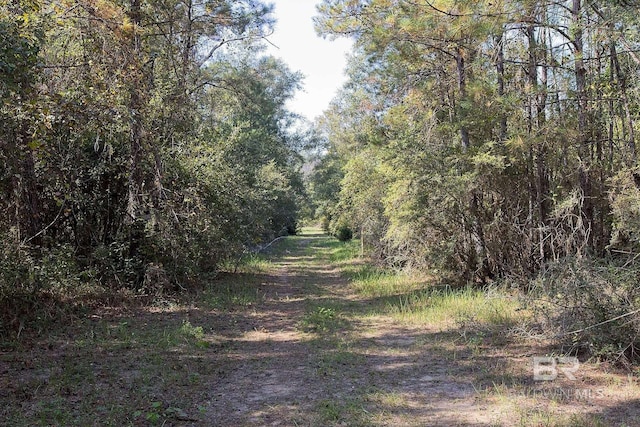 Listing photo 2 for 0 Nolte Creek Dr, Foley AL 35635