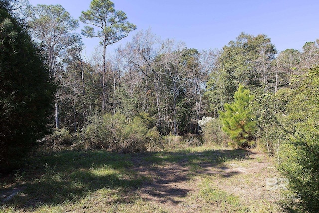 Listing photo 3 for 0 Nolte Creek Dr, Foley AL 35635