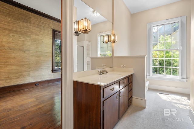 bathroom featuring vanity, hardwood / wood-style floors, toilet, and a wealth of natural light