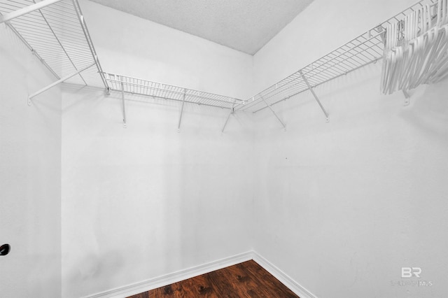 spacious closet with dark wood-style floors