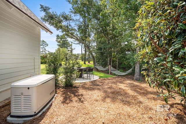 view of yard featuring a patio area