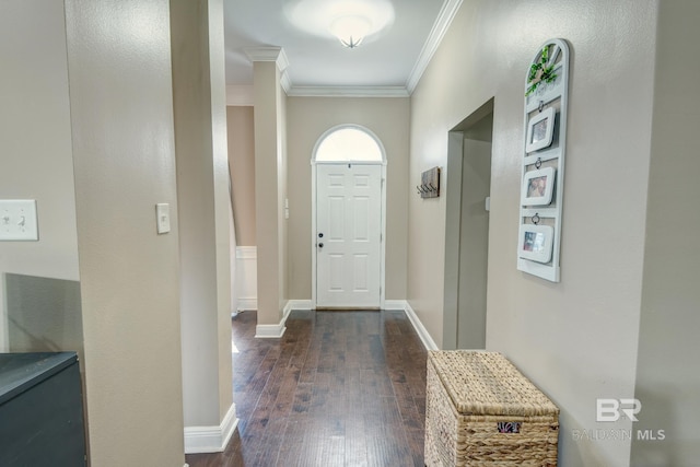 doorway to outside with dark hardwood / wood-style floors and crown molding