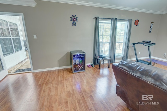 exercise area with crown molding and hardwood / wood-style floors