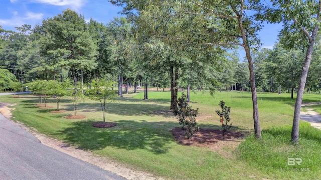 33579 Steelwood Ridge Rd, Loxley AL, 36551 land for sale