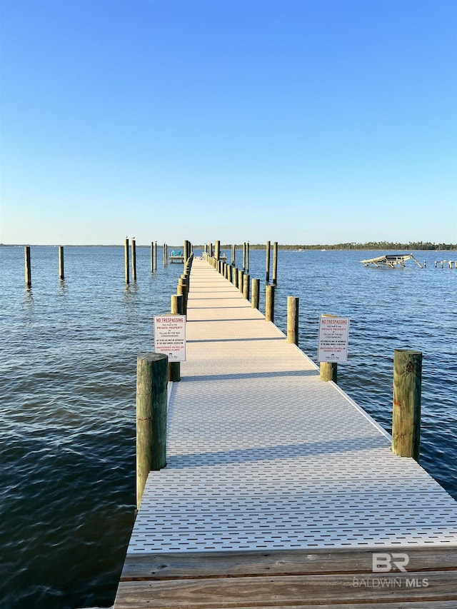 dock area with a water view