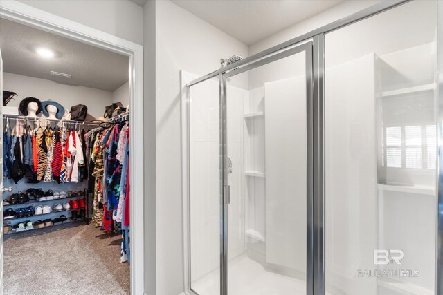 bathroom featuring a shower with shower door