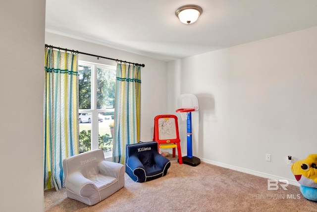 living area with light colored carpet