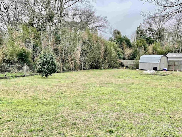 view of yard featuring a storage unit