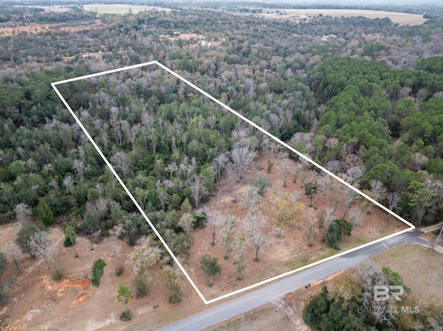 0 Holston Ln, Silverhill AL, 36576 land for sale