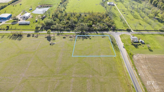Listing photo 3 for 0 County Road 10, Foley AL 36535