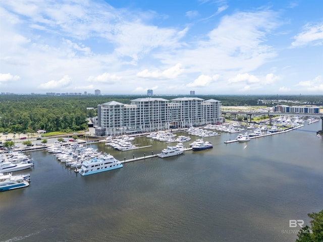 birds eye view of property featuring a water view and a city view