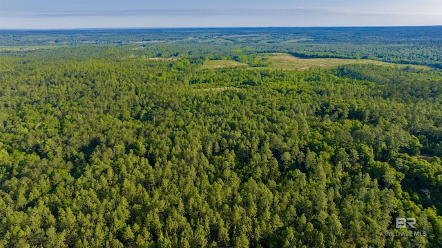 0 George Thomley Rd, Perdido, AL 36562