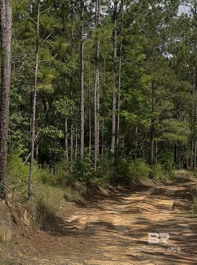 0 George Thomley Rd, Perdido, AL 36562
