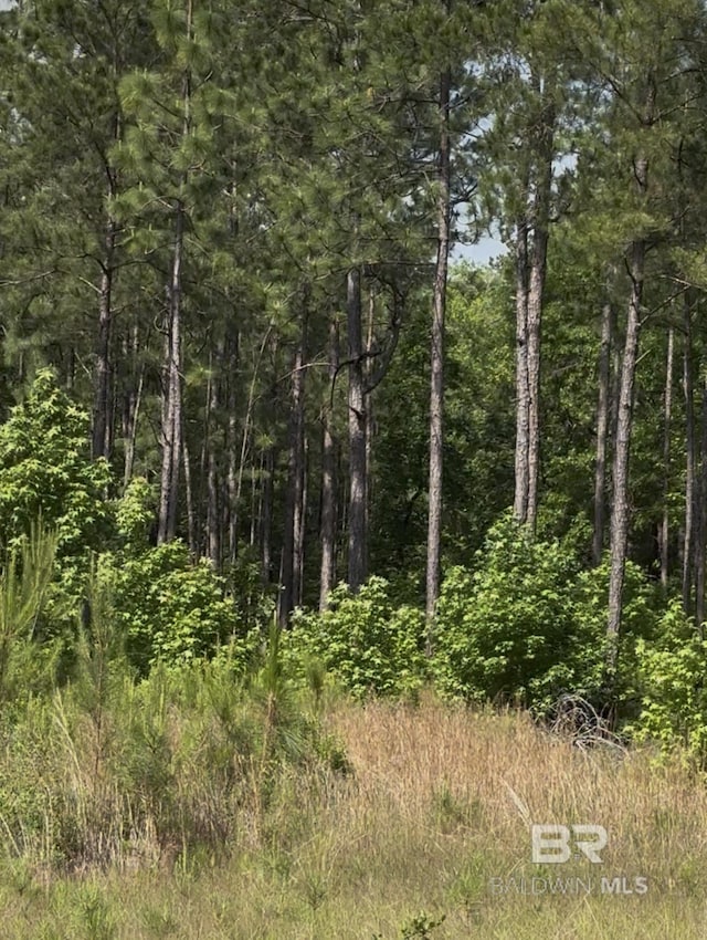0 George Thomley Rd, Perdido, AL 36562