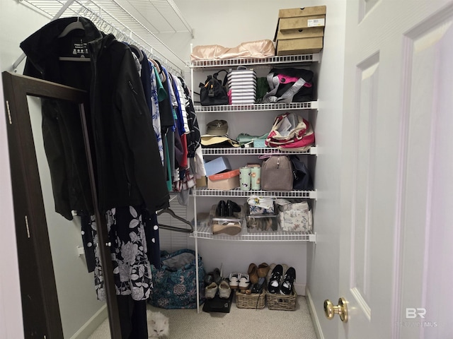 spacious closet featuring carpet flooring