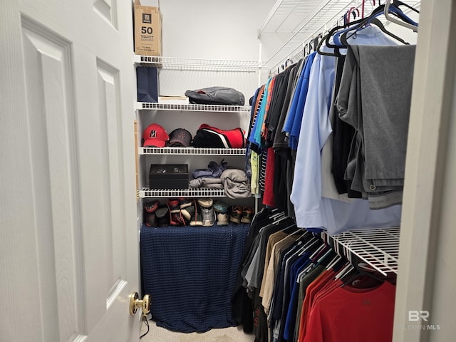 spacious closet with carpet floors