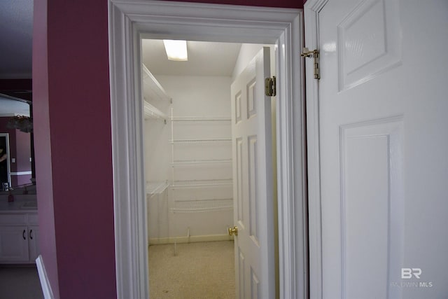11151 Colvin Ln, Daphne, AL 36526 - spacious closet with carpet floors