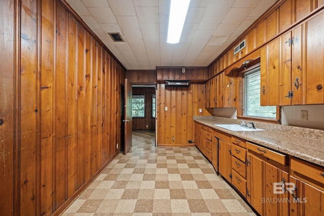 kitchen featuring sink and wood walls