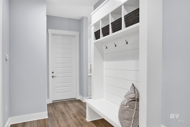 mudroom featuring wood-type flooring