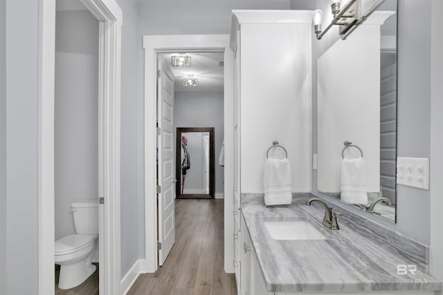 bathroom featuring vanity, wood-type flooring, and toilet