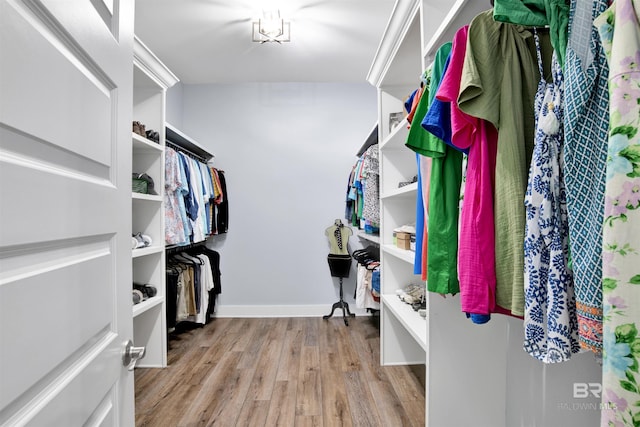 walk in closet with light wood-type flooring