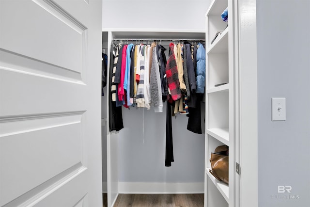 spacious closet with hardwood / wood-style flooring