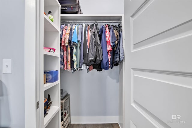 walk in closet featuring wood-type flooring