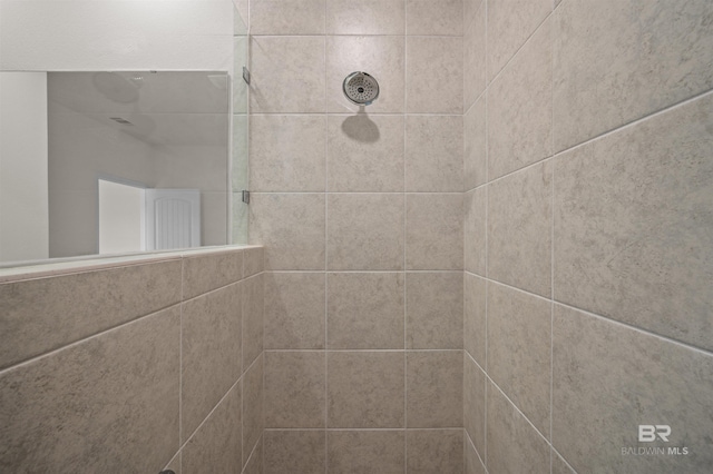 interior details featuring tiled shower
