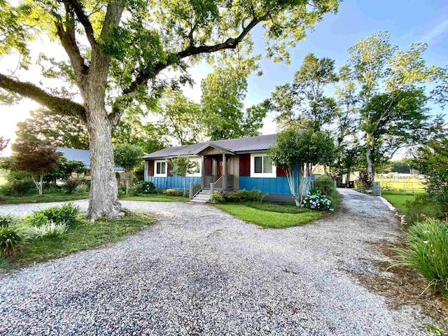 ranch-style home featuring gravel driveway and metal roof