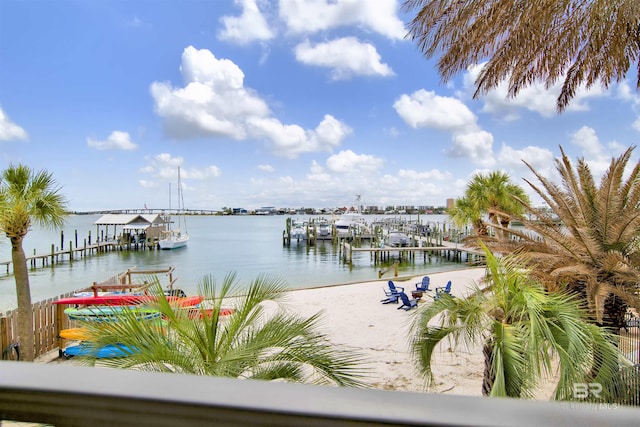 dock area with a water view