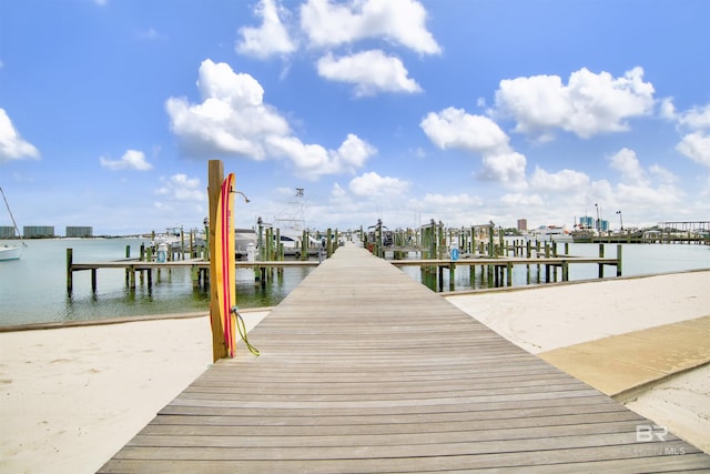 dock area with a water view