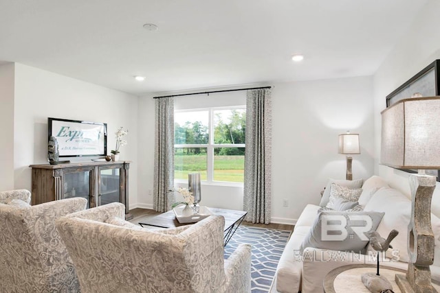 living room with hardwood / wood-style floors