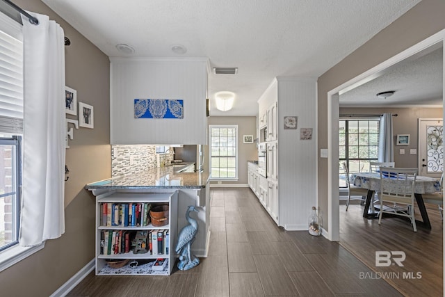 foyer entrance with a textured ceiling, dark wood-type flooring, and plenty of natural light