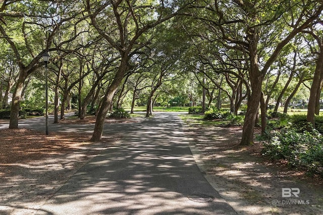 1700 Twisted Oak Cir, Gulf Shores, AL 36542