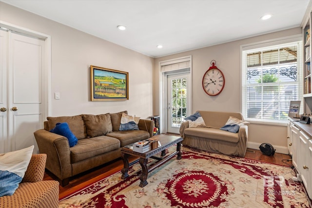 living room with hardwood / wood-style flooring and plenty of natural light