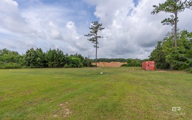 11691 Grantham Rd, Foley, AL 36535 - view of grassy yard