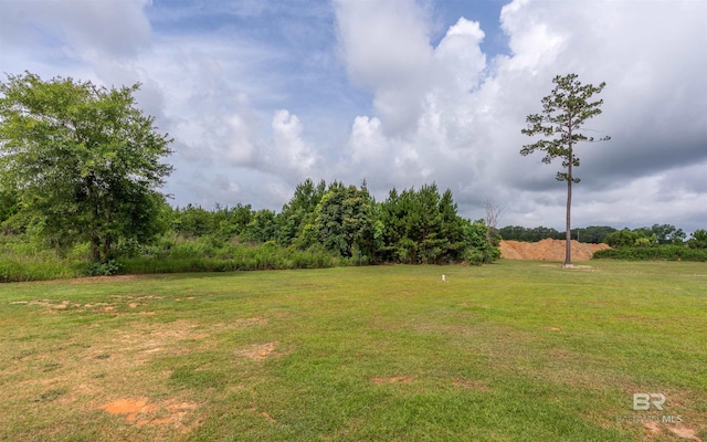 11691 Grantham Rd, Foley, AL 36535 - view of green lawn