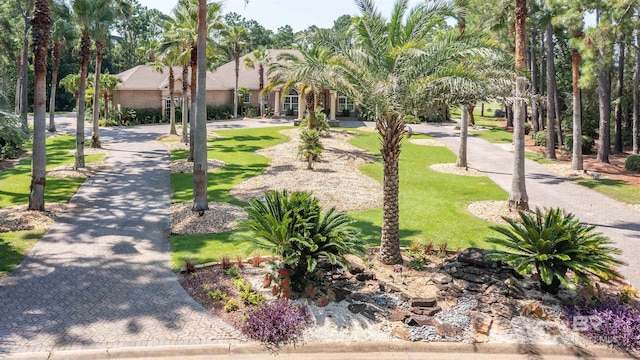 view of community with decorative driveway and a lawn