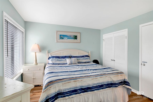 bedroom with a closet and wood-type flooring