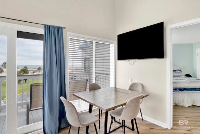 dining area featuring a healthy amount of sunlight and wood-type flooring