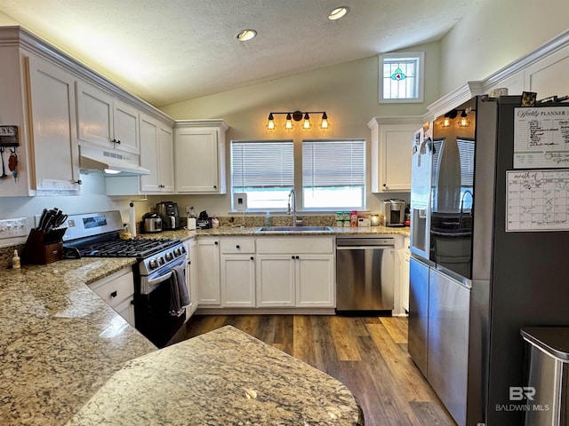 kitchen with stainless steel appliances, lofted ceiling, a sink, and under cabinet range hood