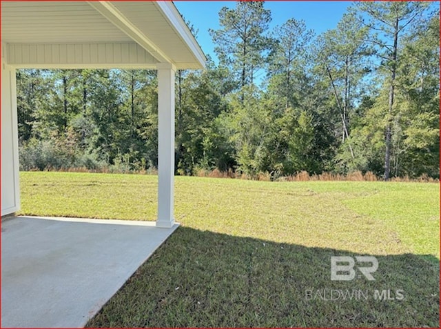 view of yard featuring a patio area