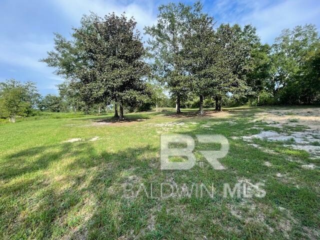 12541 Balsam Creek Dr, Elberta, AL 36530