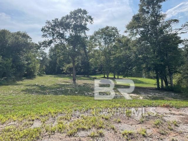 12541 Balsam Creek Dr, Elberta, AL 36530