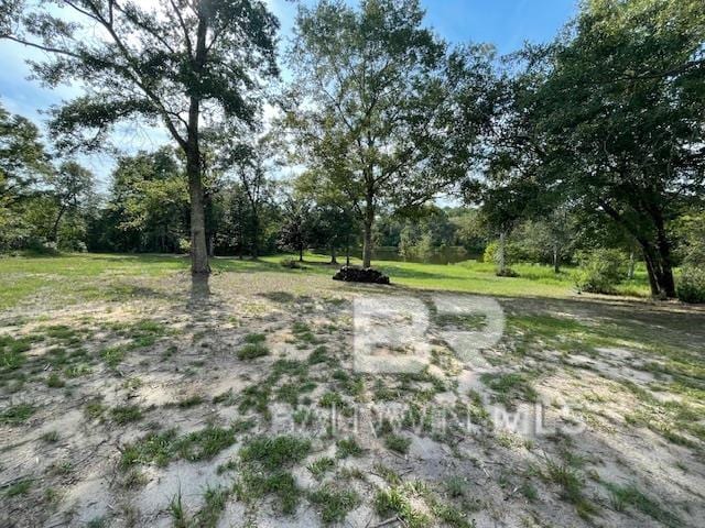 12541 Balsam Creek Dr, Elberta, AL 36530