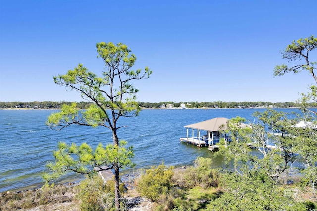 dock area featuring a water view